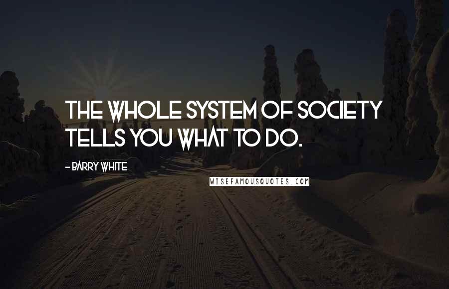 Barry White Quotes: The whole system of society tells you what to do.