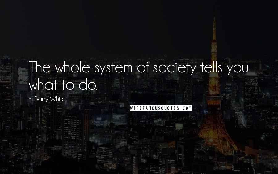 Barry White Quotes: The whole system of society tells you what to do.