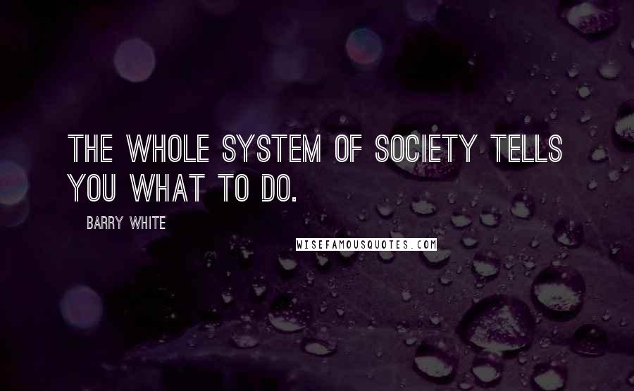 Barry White Quotes: The whole system of society tells you what to do.