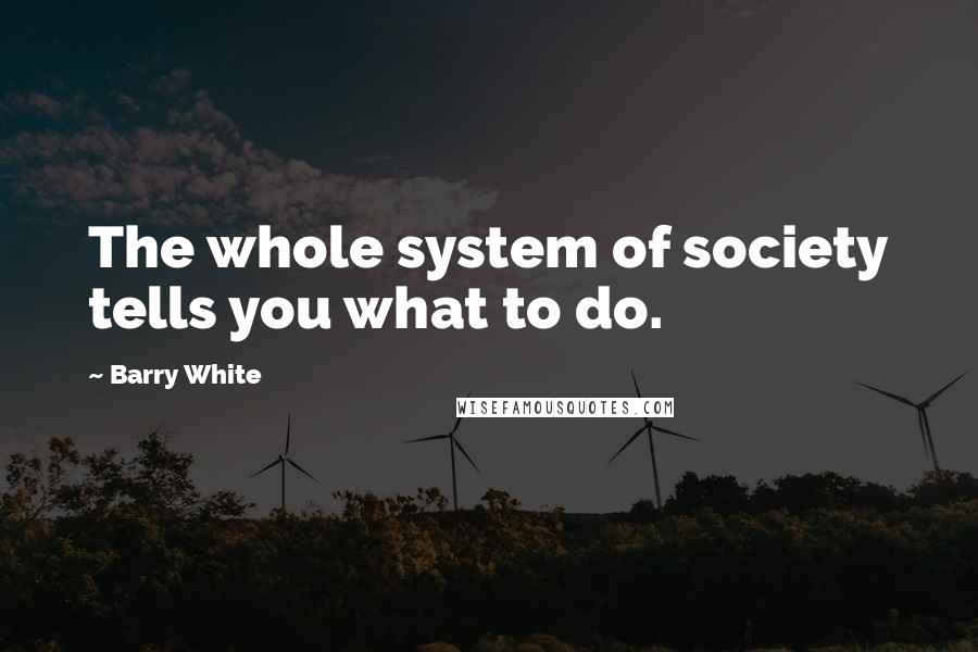 Barry White Quotes: The whole system of society tells you what to do.