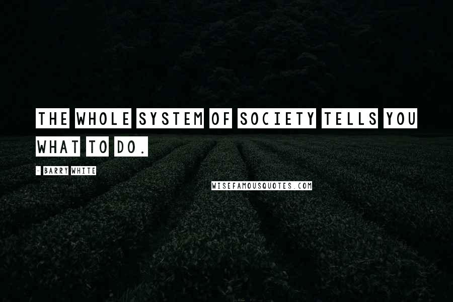 Barry White Quotes: The whole system of society tells you what to do.