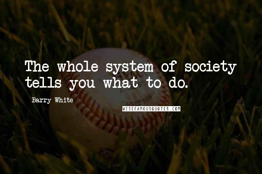 Barry White Quotes: The whole system of society tells you what to do.