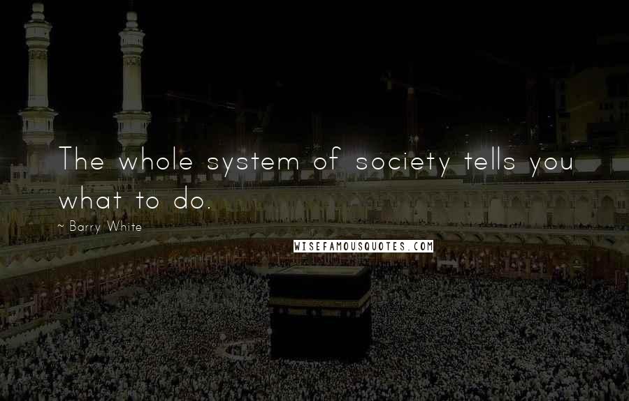 Barry White Quotes: The whole system of society tells you what to do.