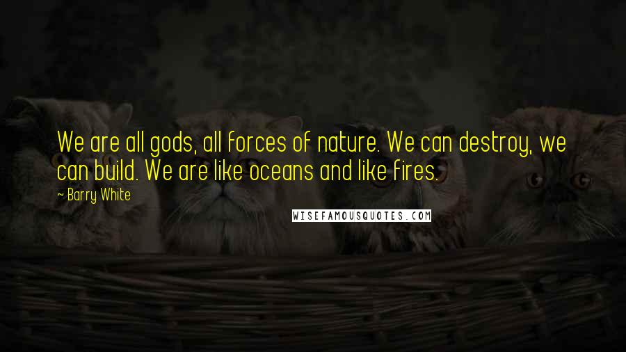 Barry White Quotes: We are all gods, all forces of nature. We can destroy, we can build. We are like oceans and like fires.