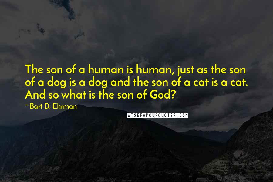 Bart D. Ehrman Quotes: The son of a human is human, just as the son of a dog is a dog and the son of a cat is a cat. And so what is the son of God?