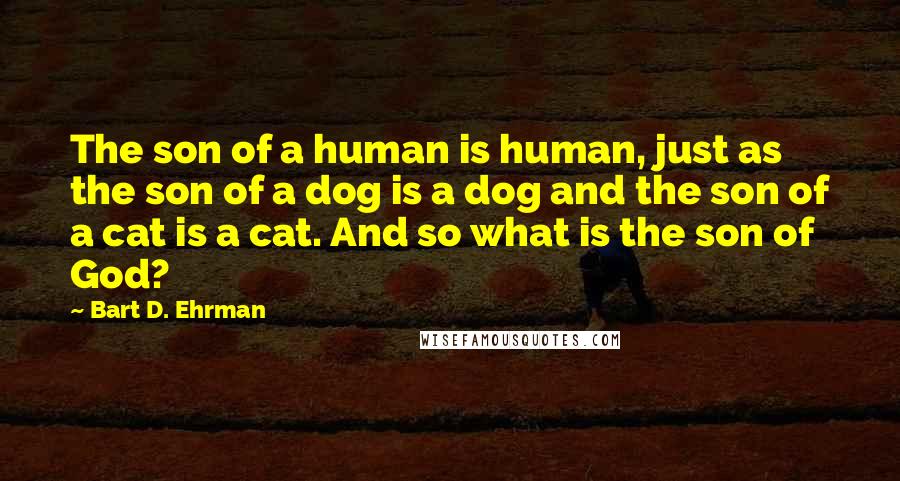 Bart D. Ehrman Quotes: The son of a human is human, just as the son of a dog is a dog and the son of a cat is a cat. And so what is the son of God?