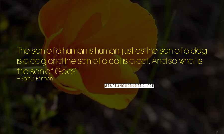 Bart D. Ehrman Quotes: The son of a human is human, just as the son of a dog is a dog and the son of a cat is a cat. And so what is the son of God?