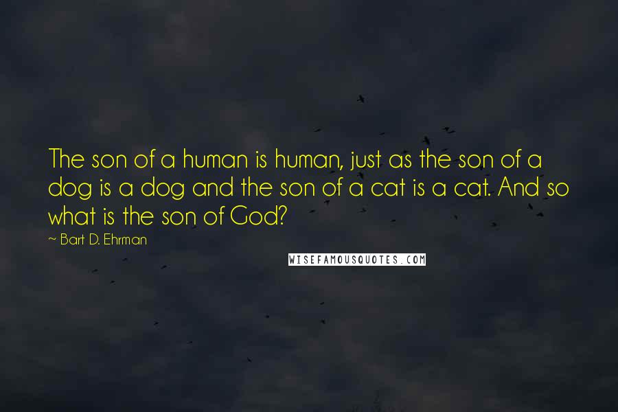 Bart D. Ehrman Quotes: The son of a human is human, just as the son of a dog is a dog and the son of a cat is a cat. And so what is the son of God?