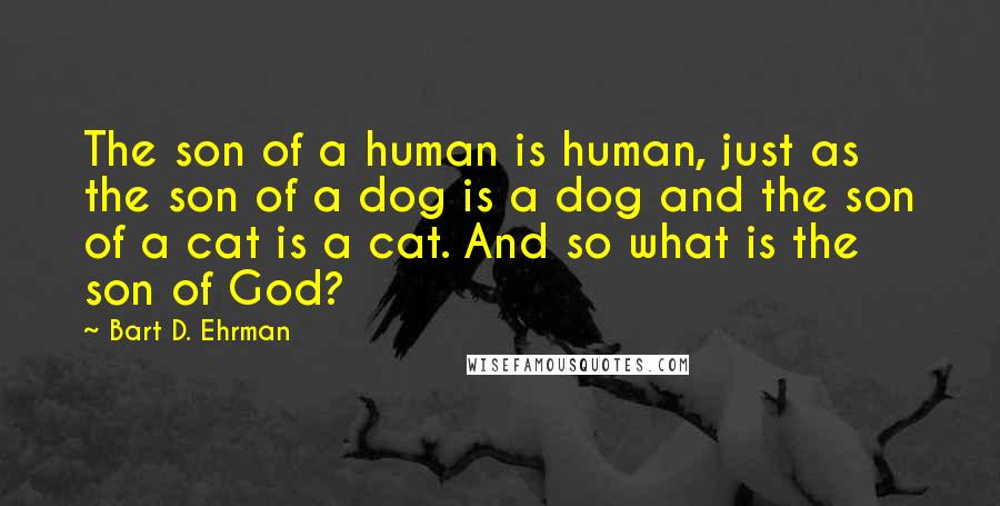 Bart D. Ehrman Quotes: The son of a human is human, just as the son of a dog is a dog and the son of a cat is a cat. And so what is the son of God?