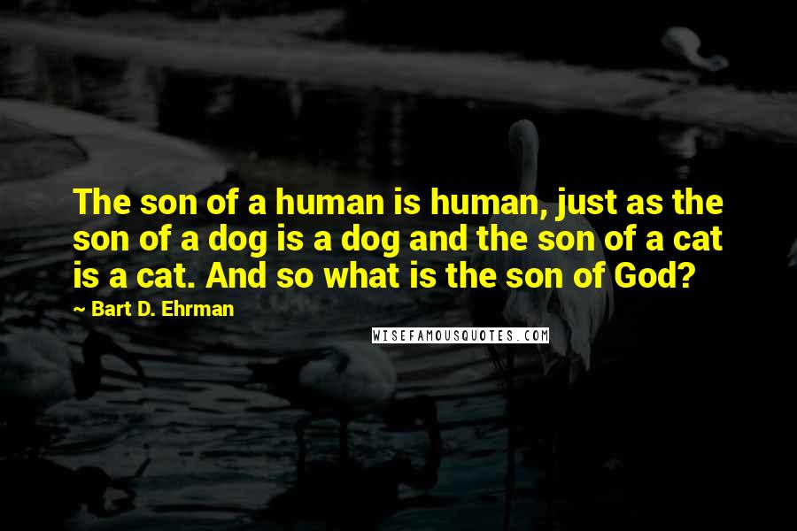 Bart D. Ehrman Quotes: The son of a human is human, just as the son of a dog is a dog and the son of a cat is a cat. And so what is the son of God?