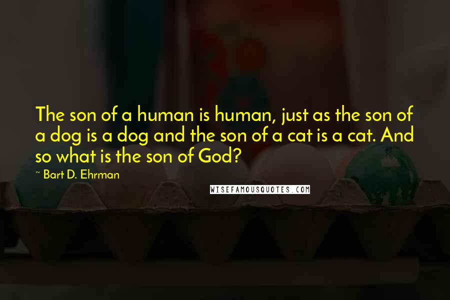 Bart D. Ehrman Quotes: The son of a human is human, just as the son of a dog is a dog and the son of a cat is a cat. And so what is the son of God?