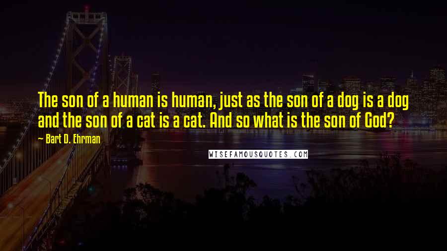 Bart D. Ehrman Quotes: The son of a human is human, just as the son of a dog is a dog and the son of a cat is a cat. And so what is the son of God?