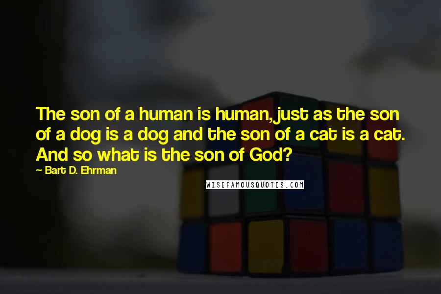 Bart D. Ehrman Quotes: The son of a human is human, just as the son of a dog is a dog and the son of a cat is a cat. And so what is the son of God?