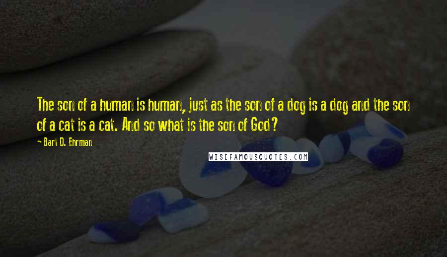 Bart D. Ehrman Quotes: The son of a human is human, just as the son of a dog is a dog and the son of a cat is a cat. And so what is the son of God?