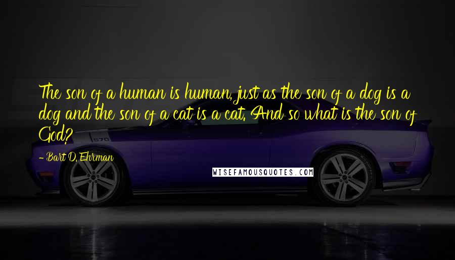 Bart D. Ehrman Quotes: The son of a human is human, just as the son of a dog is a dog and the son of a cat is a cat. And so what is the son of God?