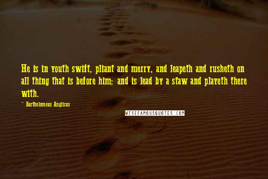 Bartholomeus Anglicus Quotes: He is in youth swift, pliant and merry, and leapeth and rusheth on all thing that is before him; and is lead by a staw and playeth there with.