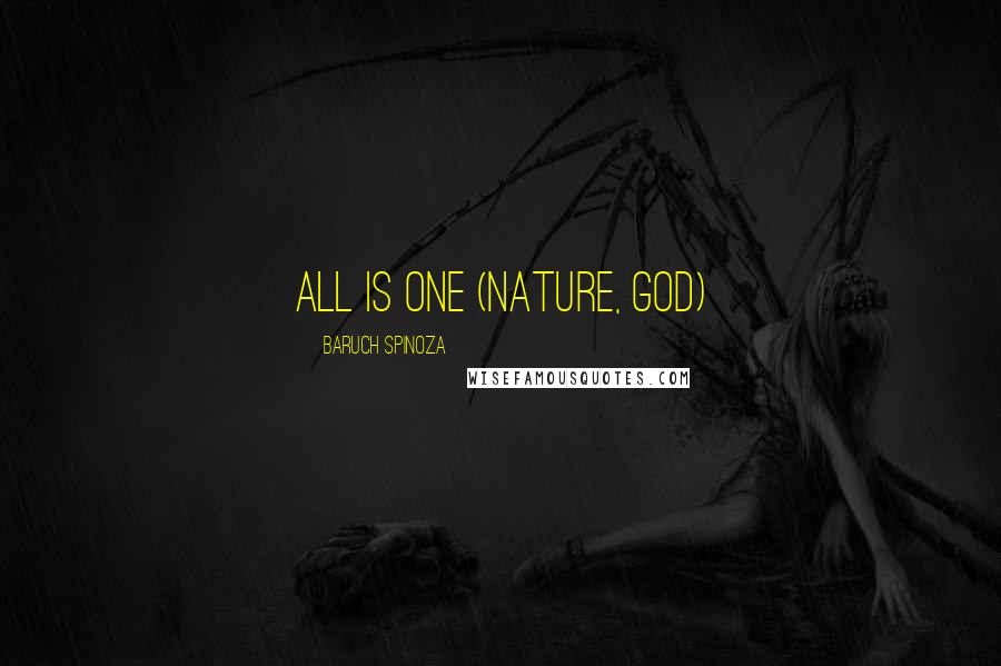 Baruch Spinoza Quotes: All is One (Nature, God)