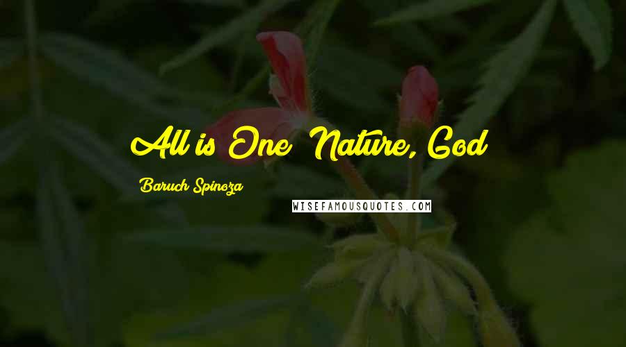 Baruch Spinoza Quotes: All is One (Nature, God)