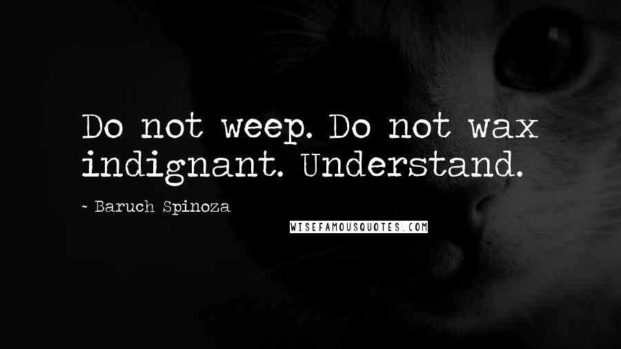 Baruch Spinoza Quotes: Do not weep. Do not wax indignant. Understand.