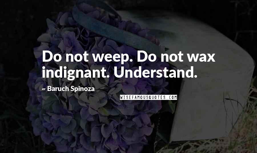 Baruch Spinoza Quotes: Do not weep. Do not wax indignant. Understand.