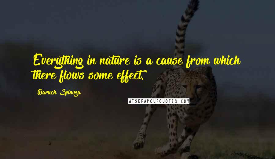 Baruch Spinoza Quotes: Everything in nature is a cause from which there flows some effect.