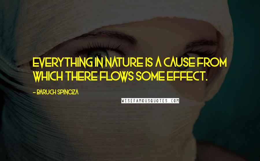 Baruch Spinoza Quotes: Everything in nature is a cause from which there flows some effect.