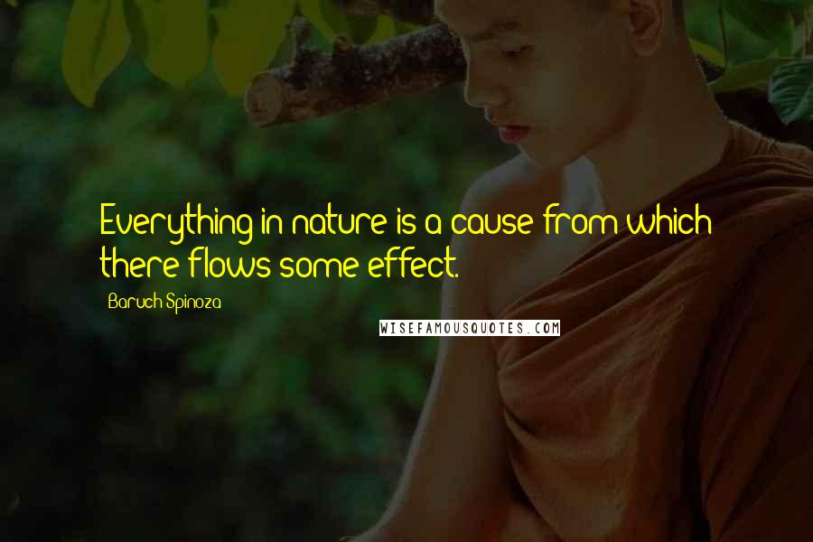 Baruch Spinoza Quotes: Everything in nature is a cause from which there flows some effect.