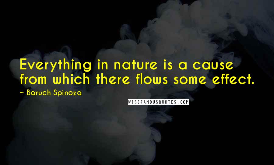 Baruch Spinoza Quotes: Everything in nature is a cause from which there flows some effect.