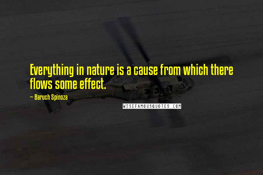 Baruch Spinoza Quotes: Everything in nature is a cause from which there flows some effect.