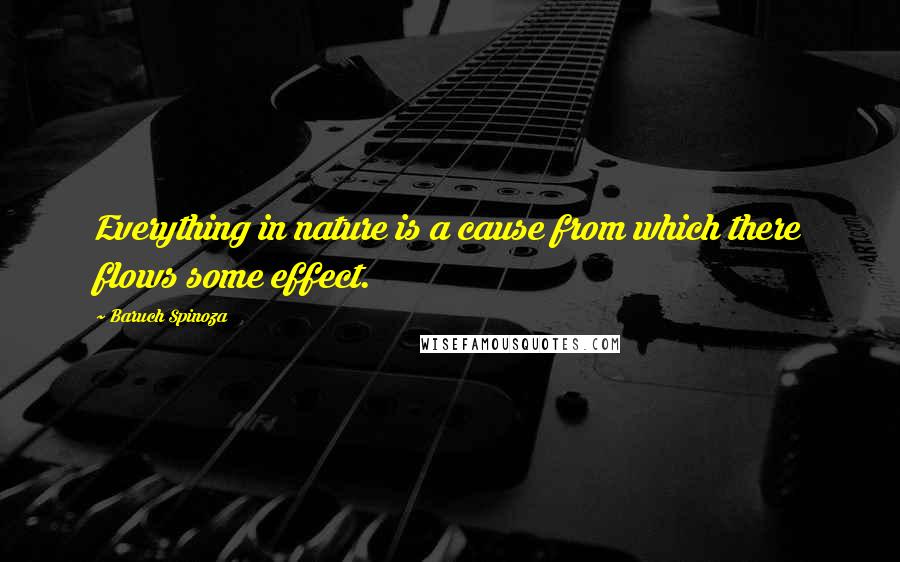 Baruch Spinoza Quotes: Everything in nature is a cause from which there flows some effect.