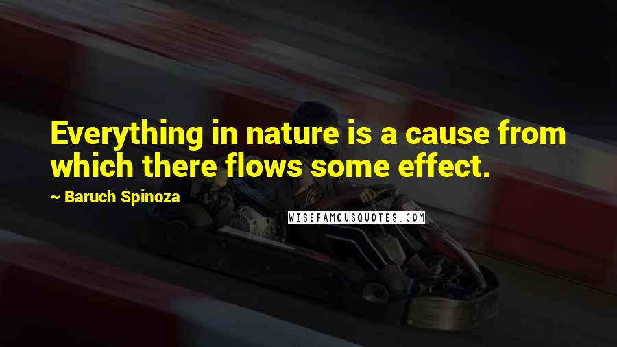 Baruch Spinoza Quotes: Everything in nature is a cause from which there flows some effect.