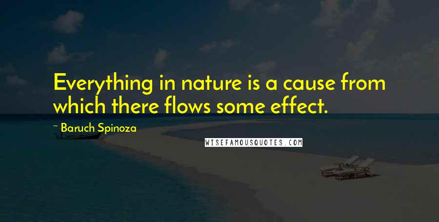 Baruch Spinoza Quotes: Everything in nature is a cause from which there flows some effect.