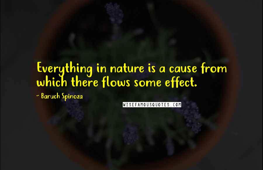 Baruch Spinoza Quotes: Everything in nature is a cause from which there flows some effect.