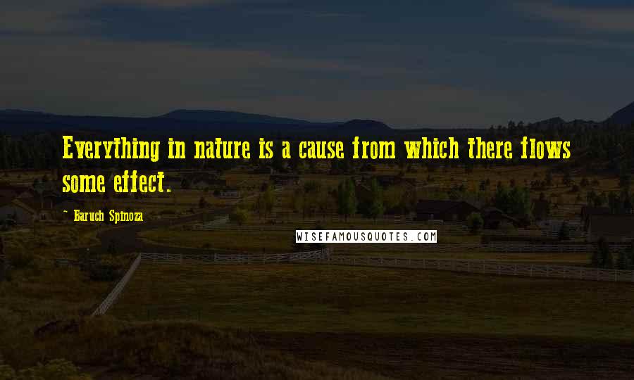 Baruch Spinoza Quotes: Everything in nature is a cause from which there flows some effect.