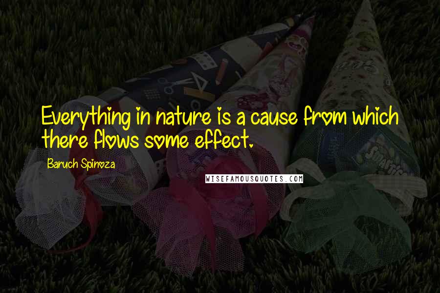 Baruch Spinoza Quotes: Everything in nature is a cause from which there flows some effect.