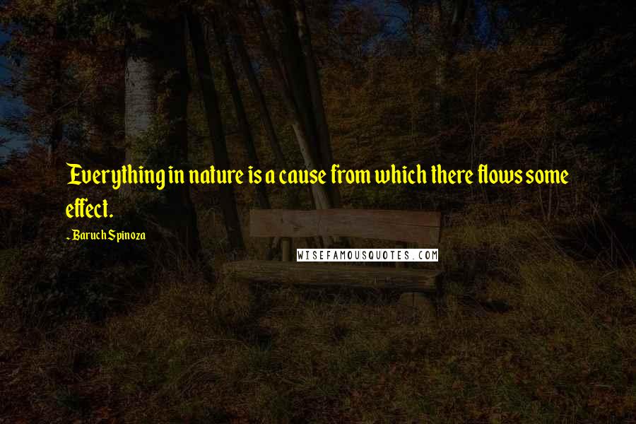 Baruch Spinoza Quotes: Everything in nature is a cause from which there flows some effect.