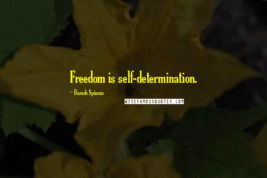 Baruch Spinoza Quotes: Freedom is self-determination.
