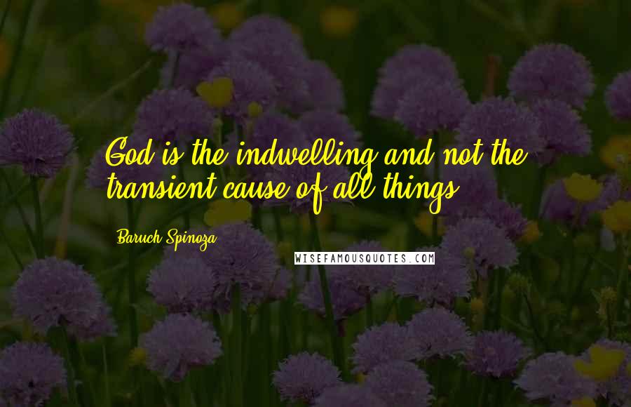 Baruch Spinoza Quotes: God is the indwelling and not the transient cause of all things.