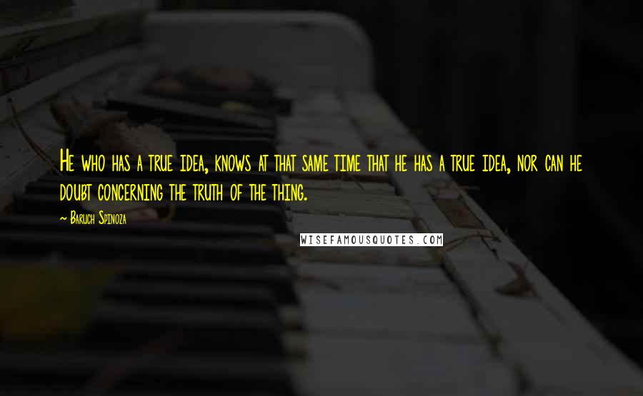 Baruch Spinoza Quotes: He who has a true idea, knows at that same time that he has a true idea, nor can he doubt concerning the truth of the thing.