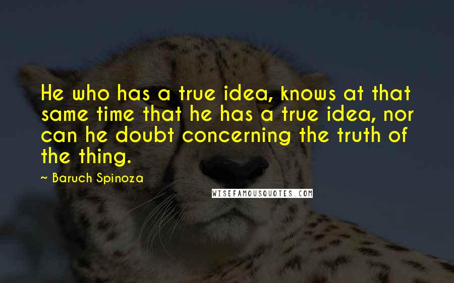 Baruch Spinoza Quotes: He who has a true idea, knows at that same time that he has a true idea, nor can he doubt concerning the truth of the thing.