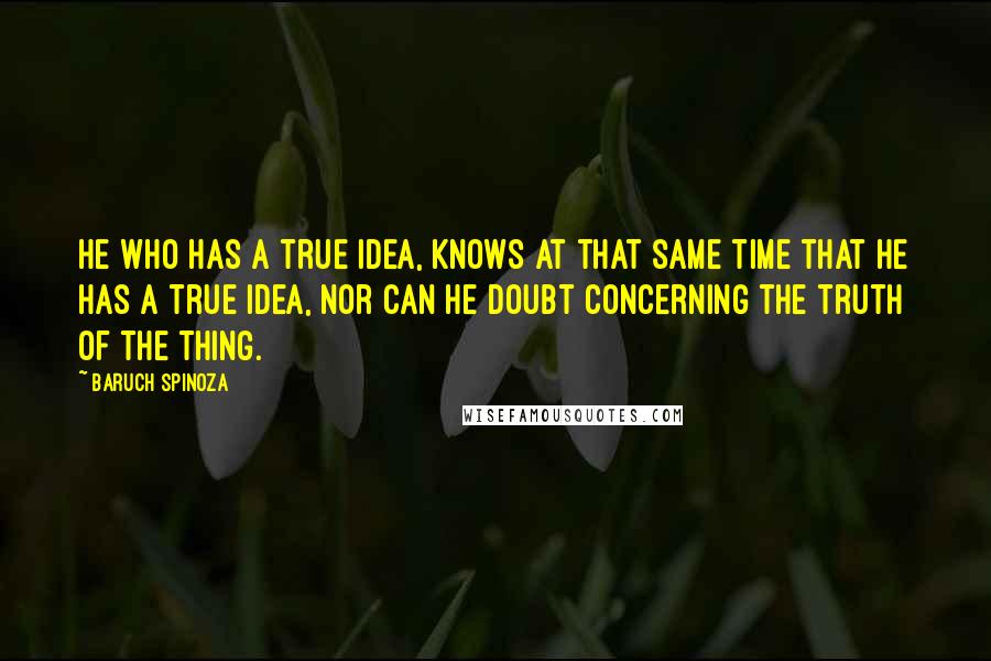 Baruch Spinoza Quotes: He who has a true idea, knows at that same time that he has a true idea, nor can he doubt concerning the truth of the thing.