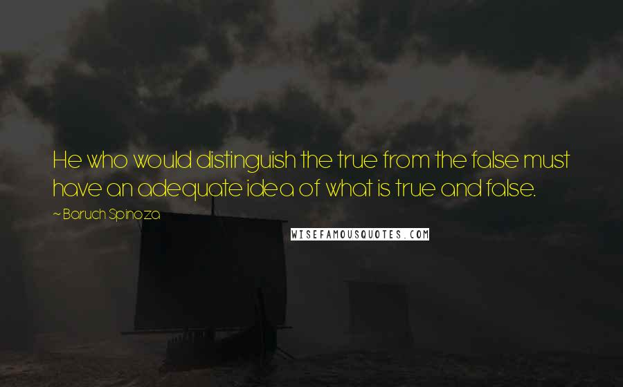 Baruch Spinoza Quotes: He who would distinguish the true from the false must have an adequate idea of what is true and false.