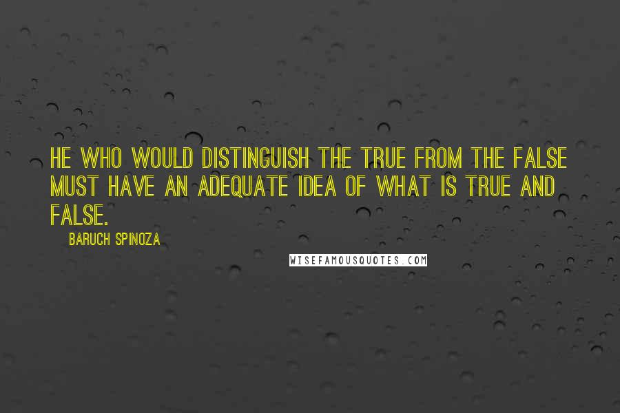 Baruch Spinoza Quotes: He who would distinguish the true from the false must have an adequate idea of what is true and false.
