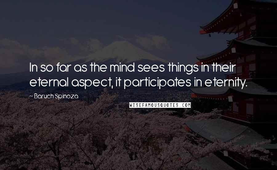 Baruch Spinoza Quotes: In so far as the mind sees things in their eternal aspect, it participates in eternity.