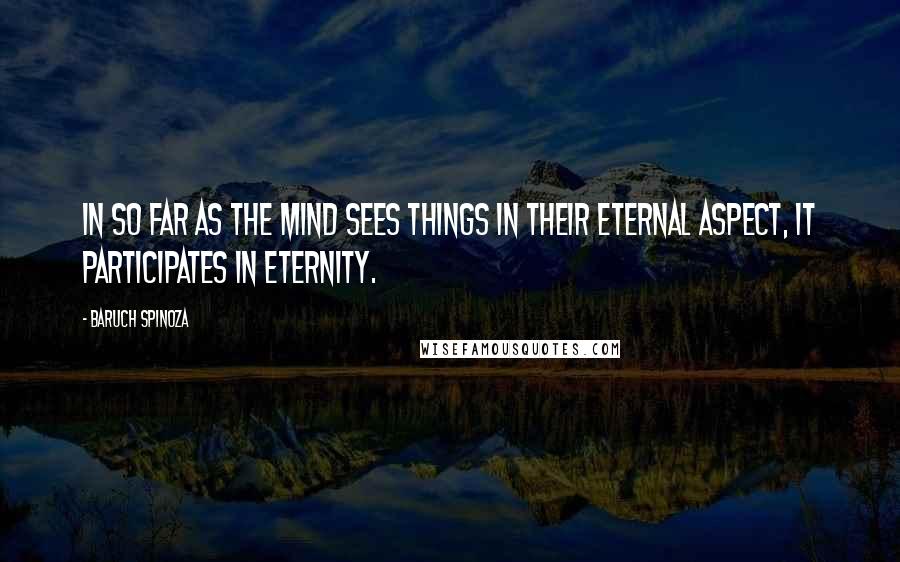 Baruch Spinoza Quotes: In so far as the mind sees things in their eternal aspect, it participates in eternity.