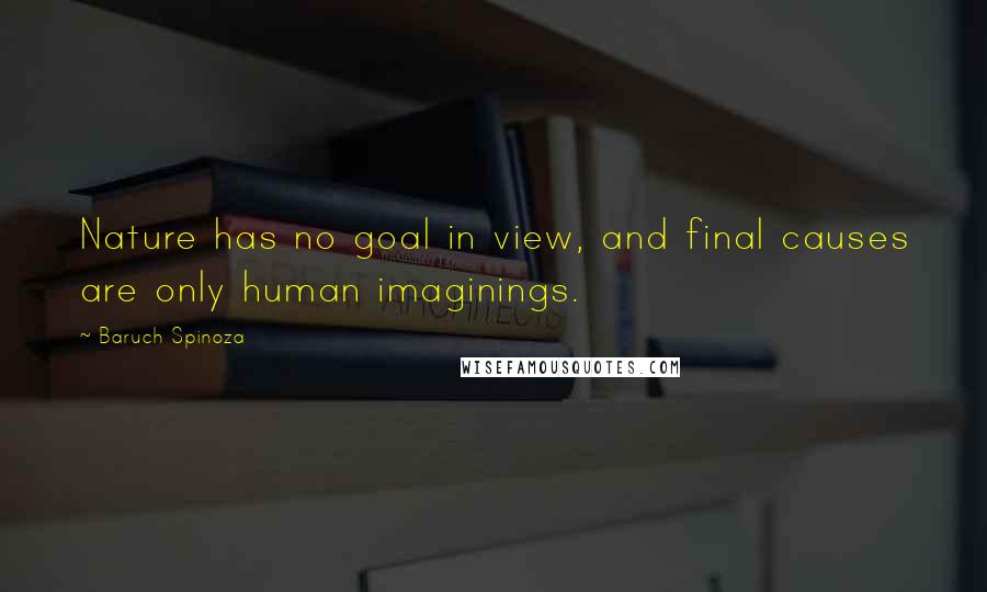 Baruch Spinoza Quotes: Nature has no goal in view, and final causes are only human imaginings.