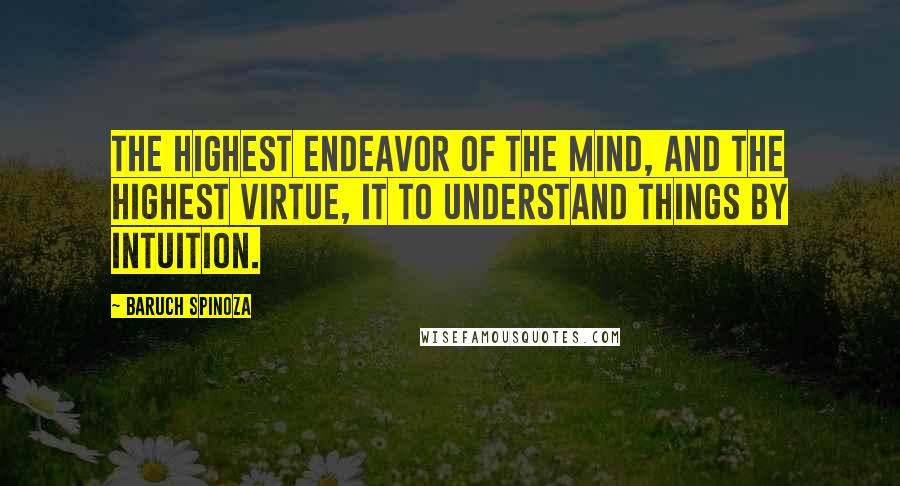 Baruch Spinoza Quotes: The highest endeavor of the mind, and the highest virtue, it to understand things by intuition.