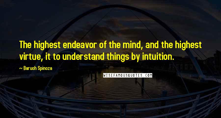 Baruch Spinoza Quotes: The highest endeavor of the mind, and the highest virtue, it to understand things by intuition.