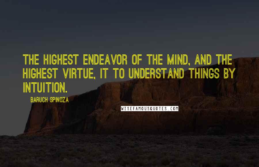 Baruch Spinoza Quotes: The highest endeavor of the mind, and the highest virtue, it to understand things by intuition.
