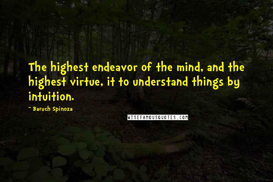 Baruch Spinoza Quotes: The highest endeavor of the mind, and the highest virtue, it to understand things by intuition.